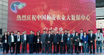 北京電子信息職業教育集團 打造產教融合新生態，賦能教育信息服務升級